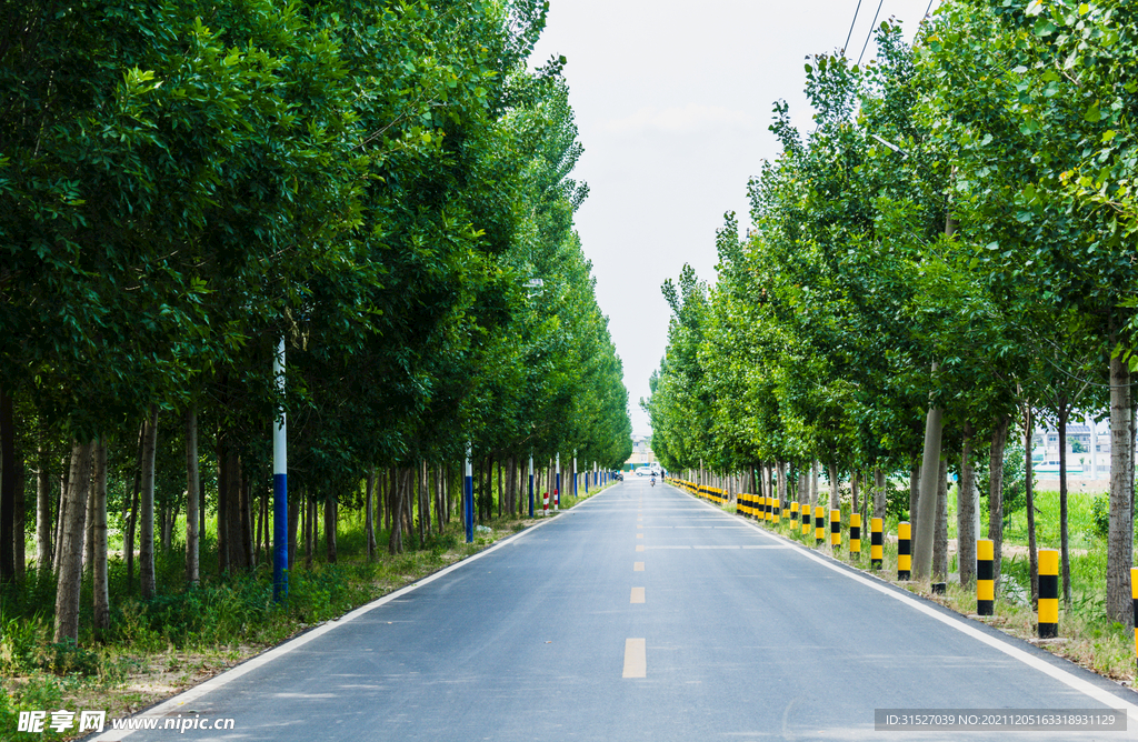 笔直的公路摄影图