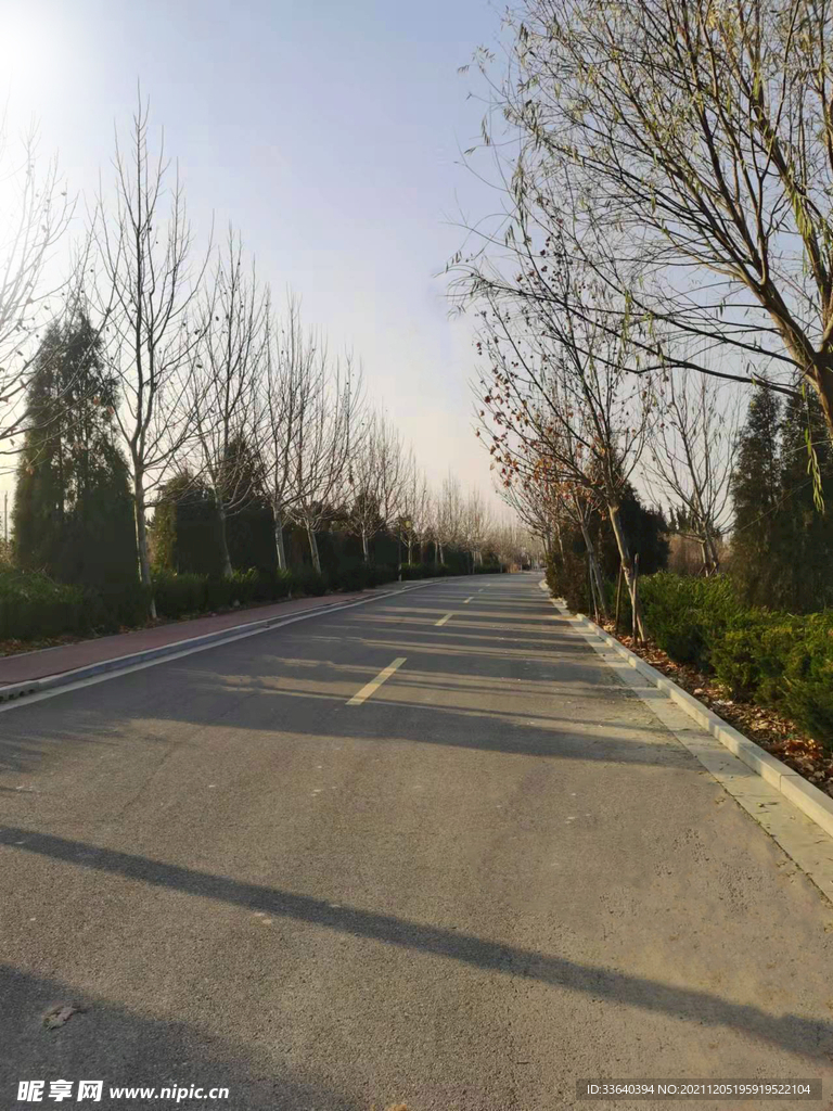 冬季阳光萧条马路