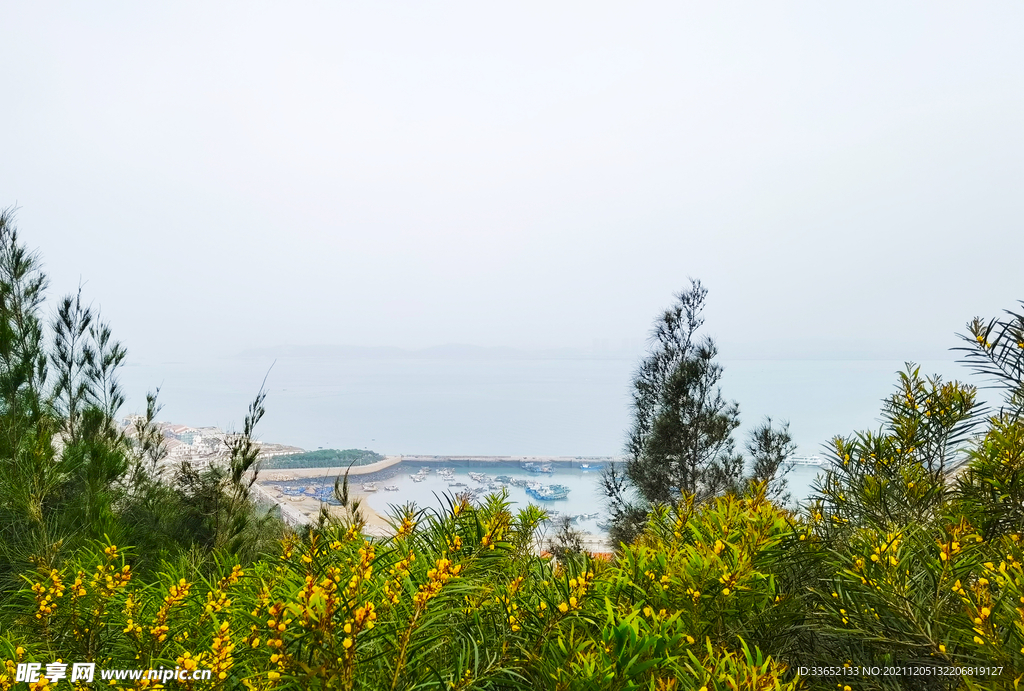 海边风景（早晨）