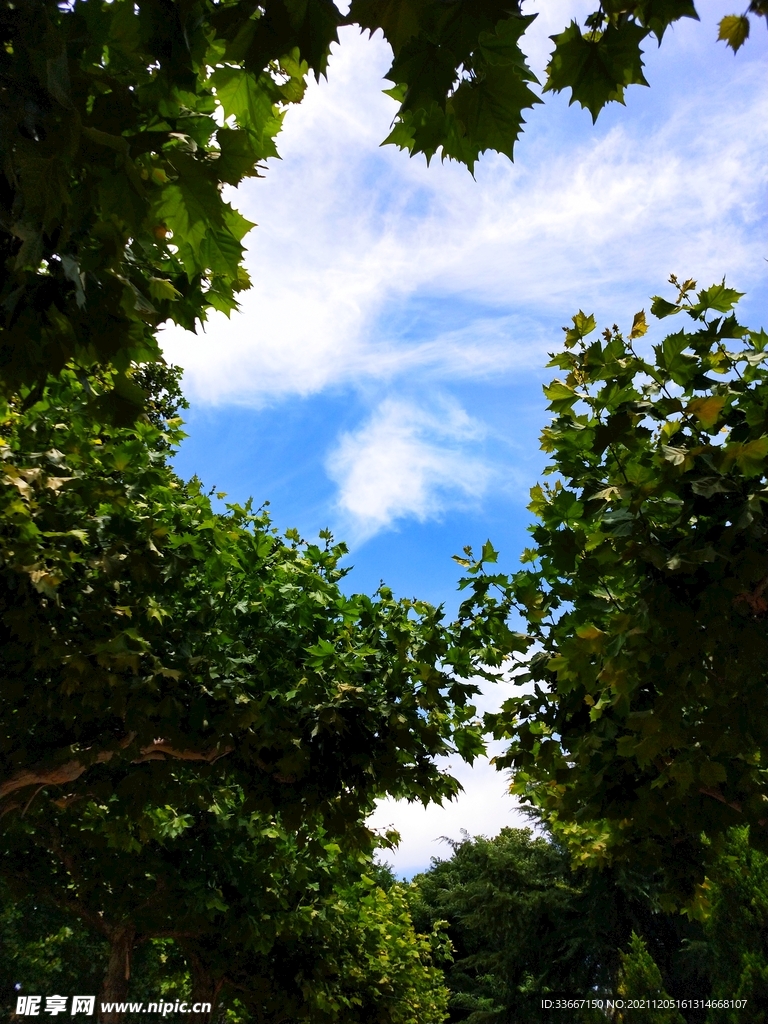 风景