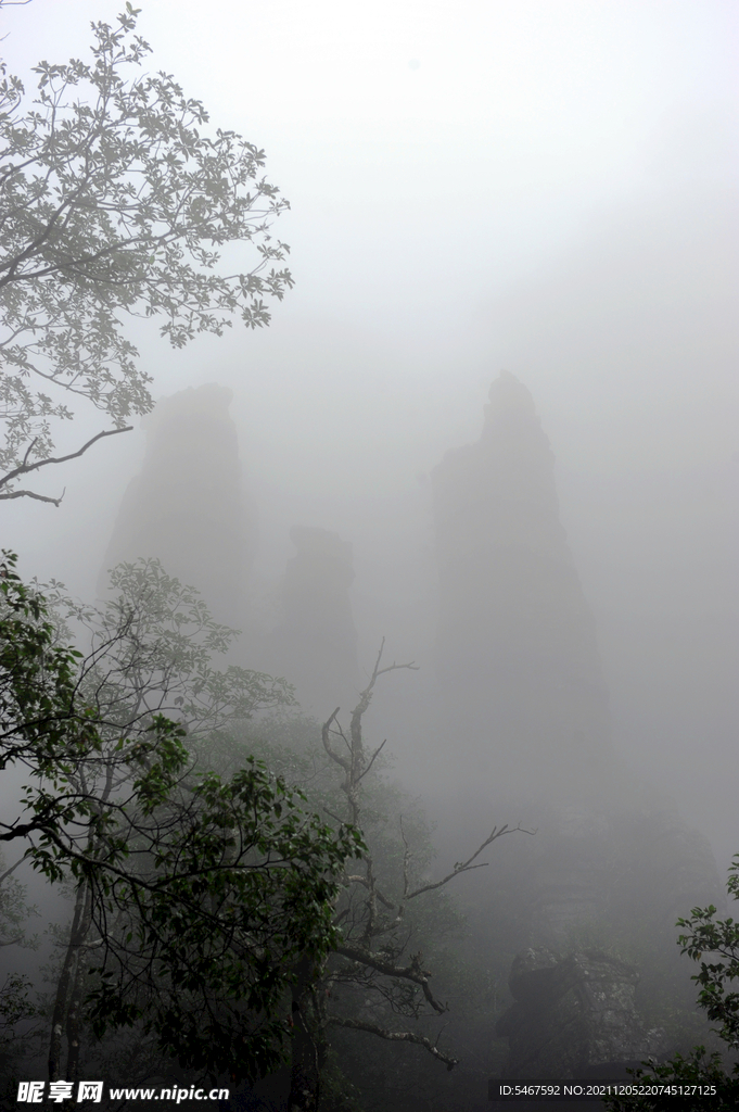 山林晨雾
