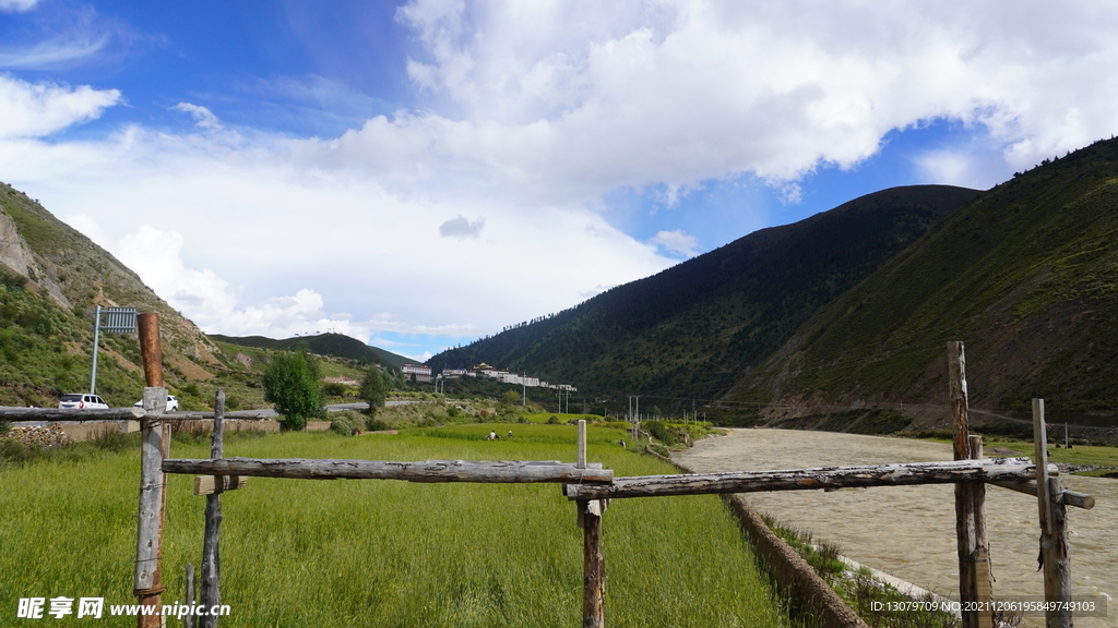 山区稻田