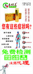 乌柏莲