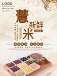  薏米海报