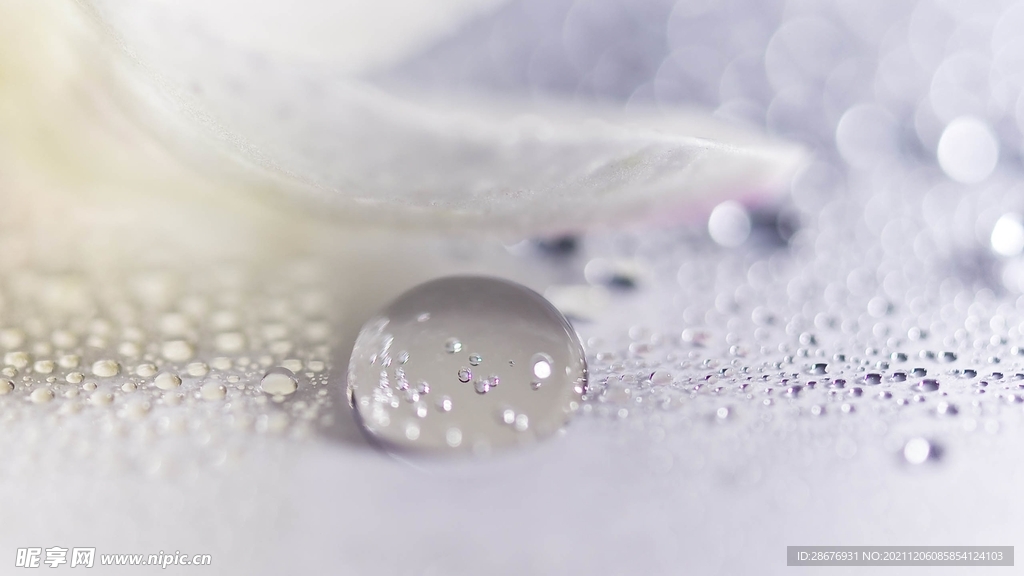 水珠特写