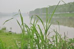 水岸  