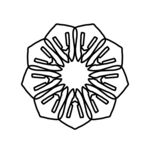 花纹