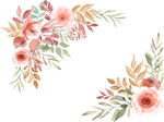 花卉