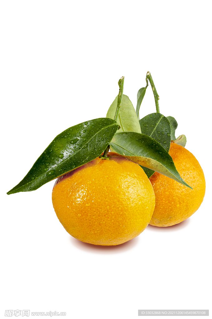 高清水果带水滴橘子素材