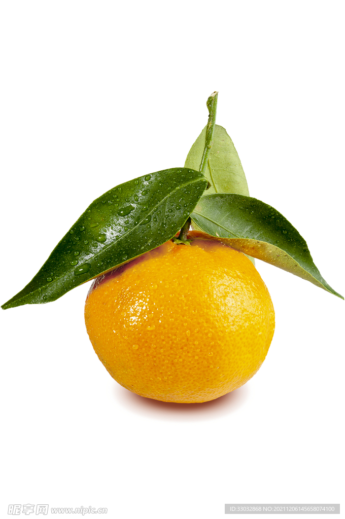 高清水果带水的橘子素材
