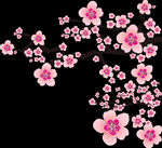 立冬梅花