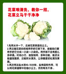 如何清洗花菜