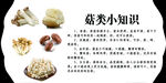 菌菇类知识