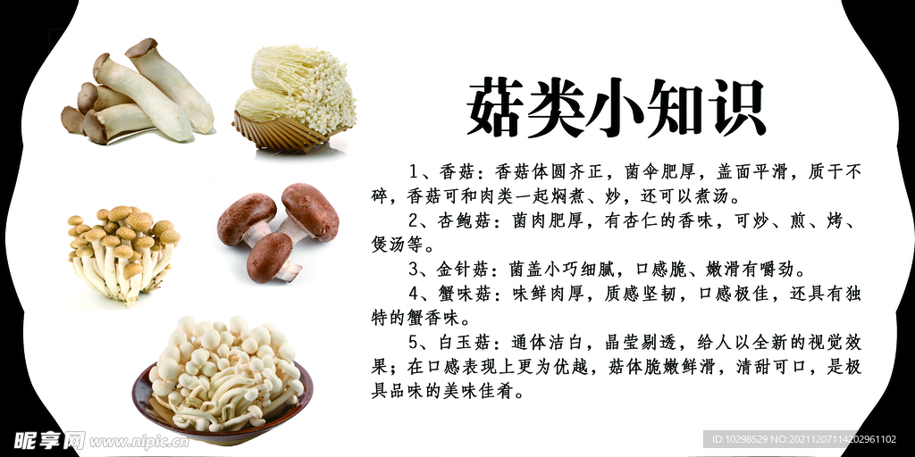 菌菇类知识