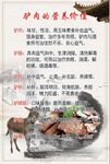 驴火营养价值