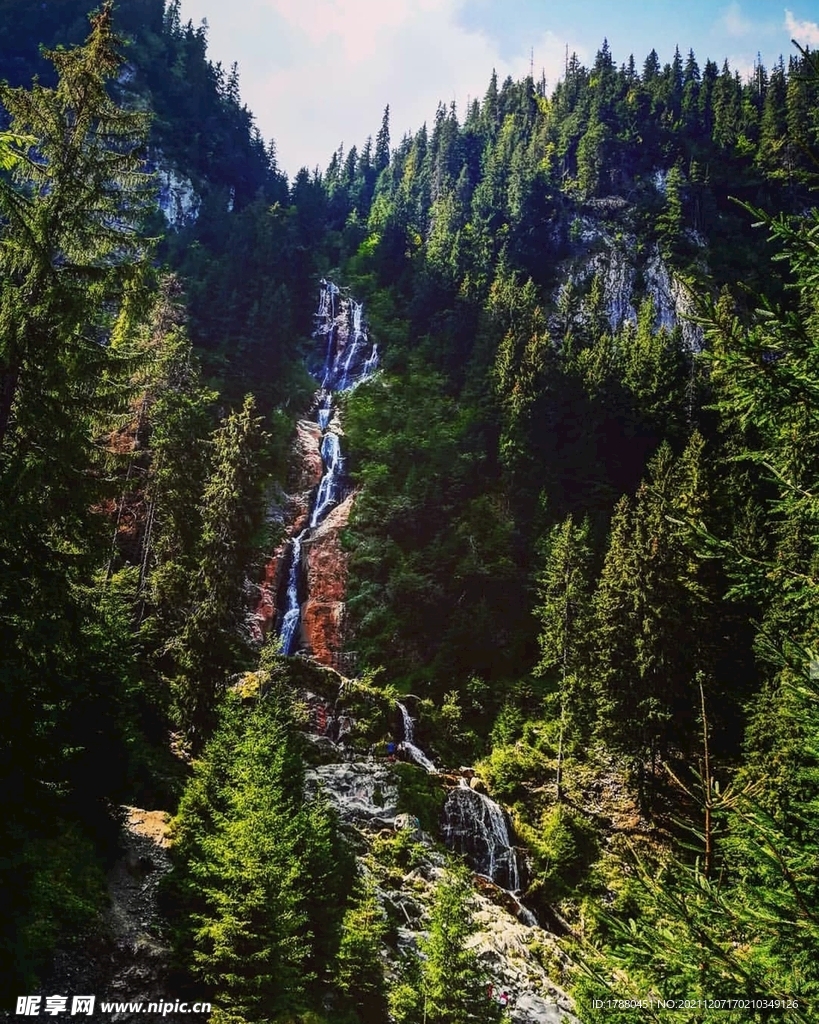 山林