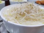 一盘豆芽菜