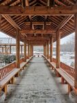 雪景