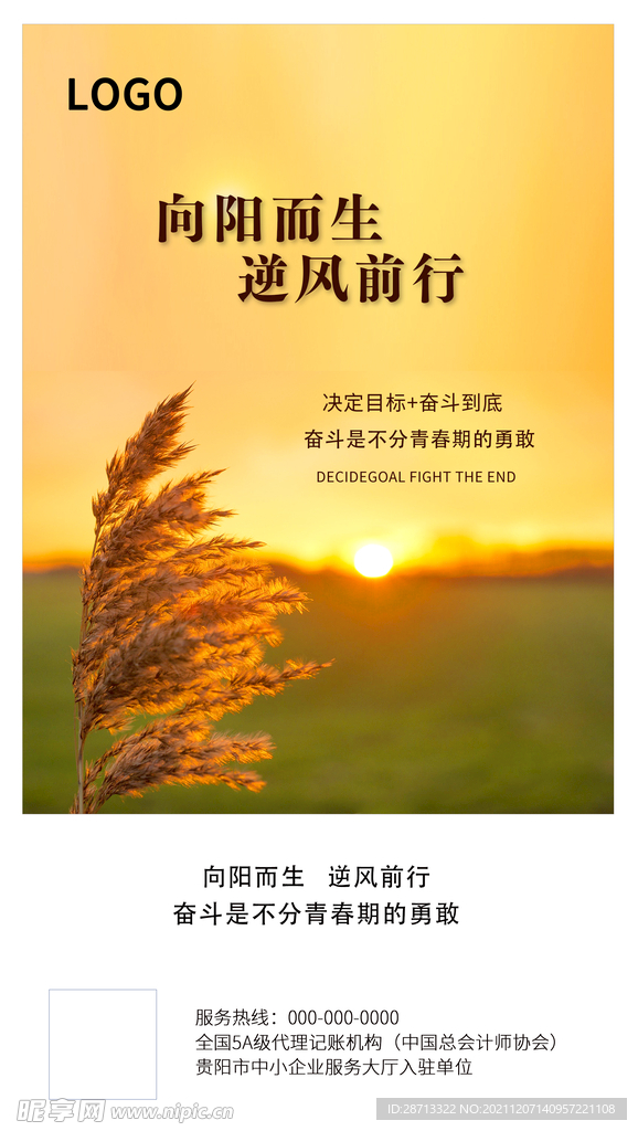 向阳而生