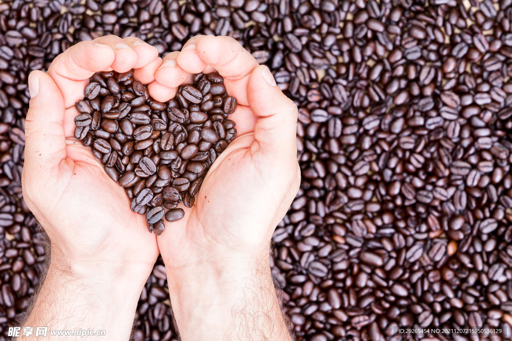 咖啡豆            