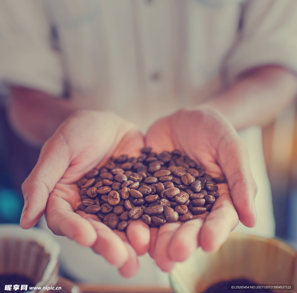 咖啡豆            