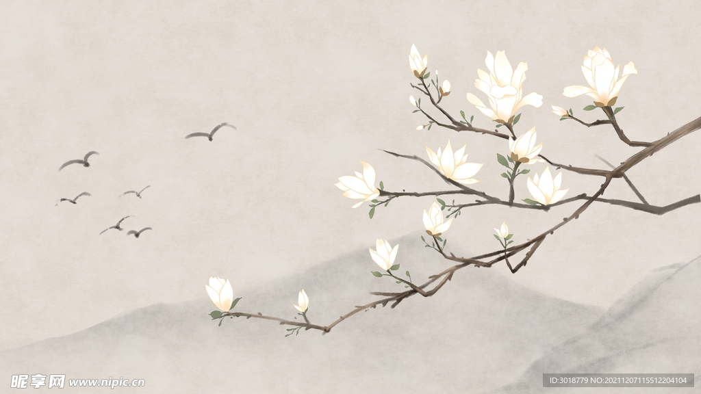 玉兰花