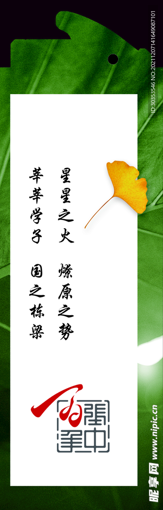 信纸 信件