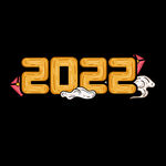2022字体