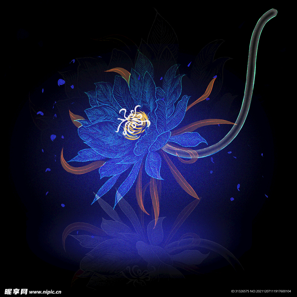 昙花