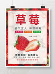 草莓促销海报包装