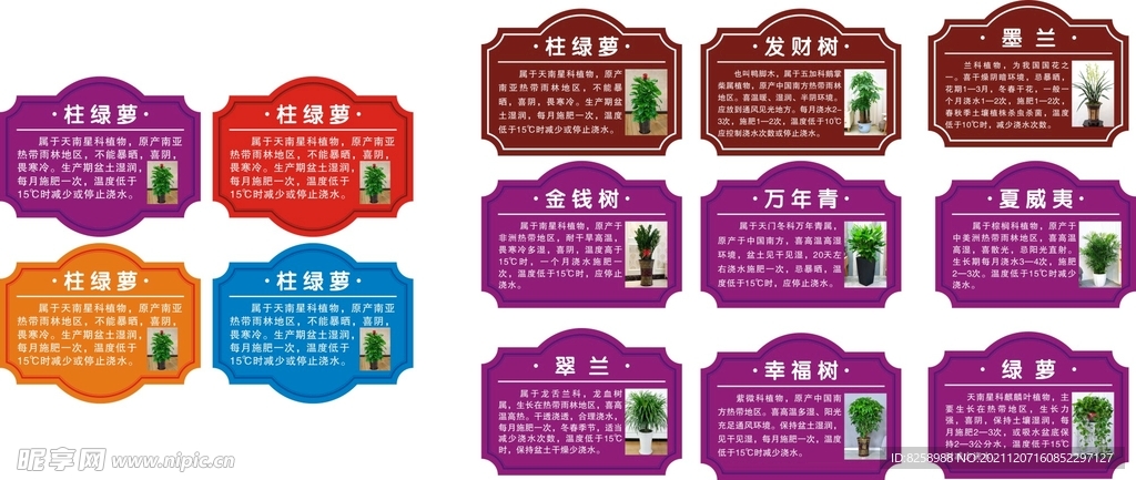 花草牌