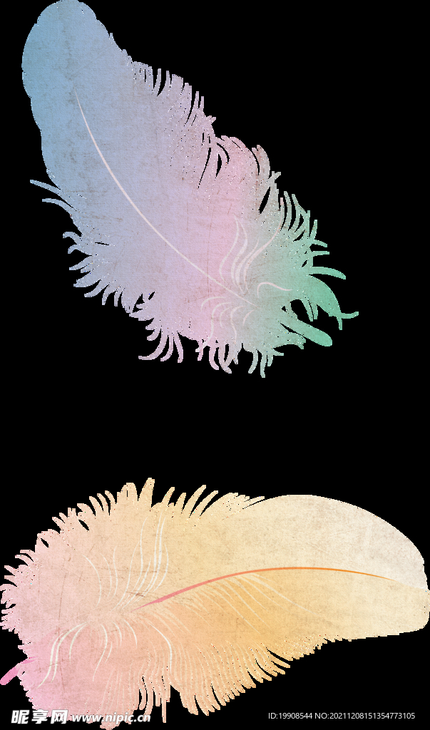 免扣羽毛PNG