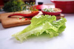 大叶生菜西生菜