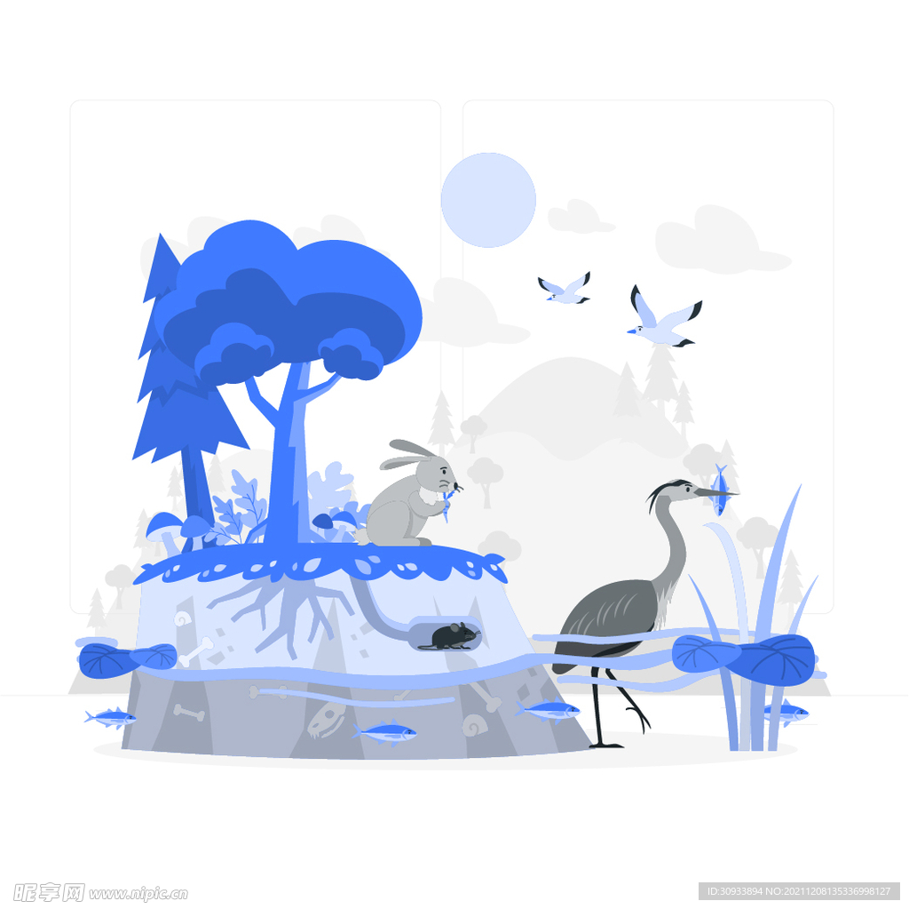 湿地生态
