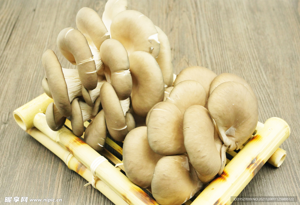 新鲜平菇素材图