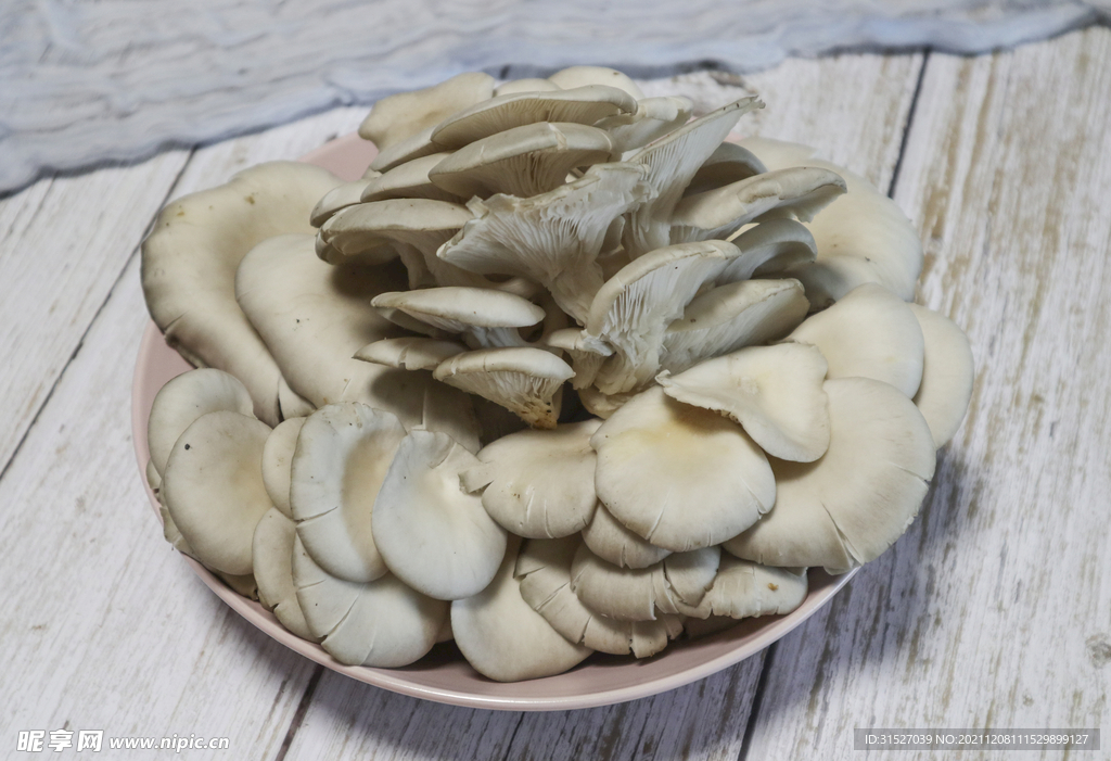 盘子里的平菇摄影图