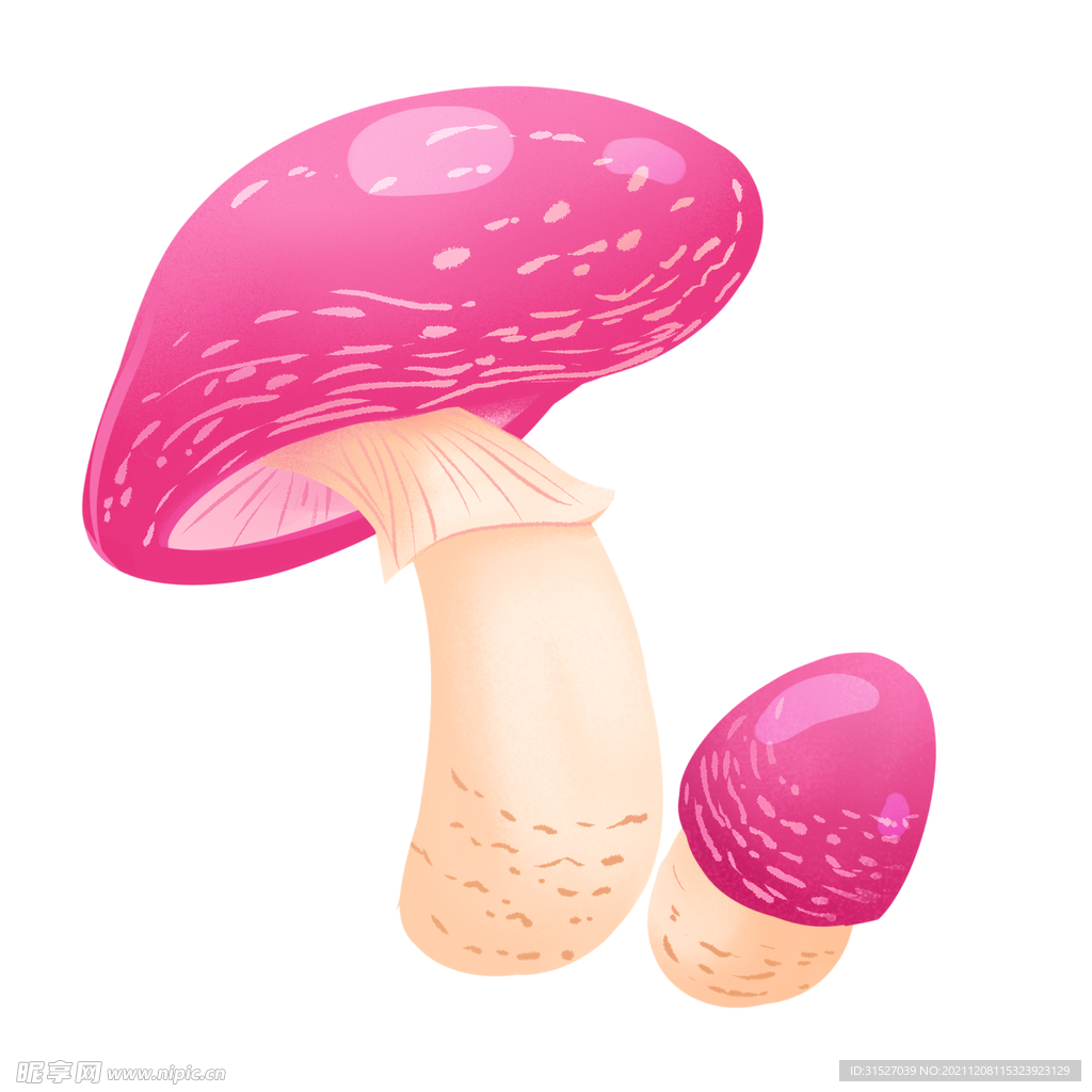 可爱蘑菇插画