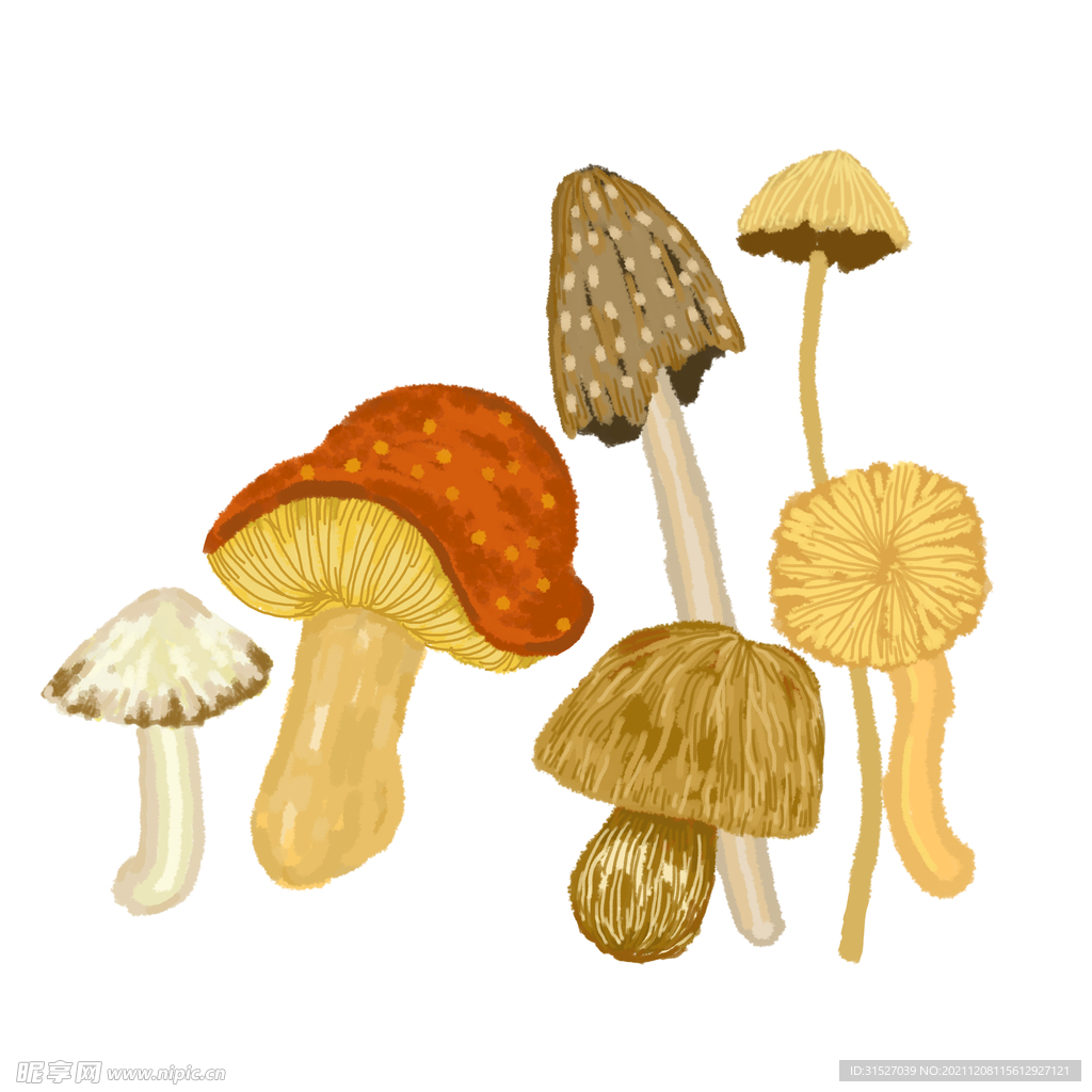 卡通蘑菇