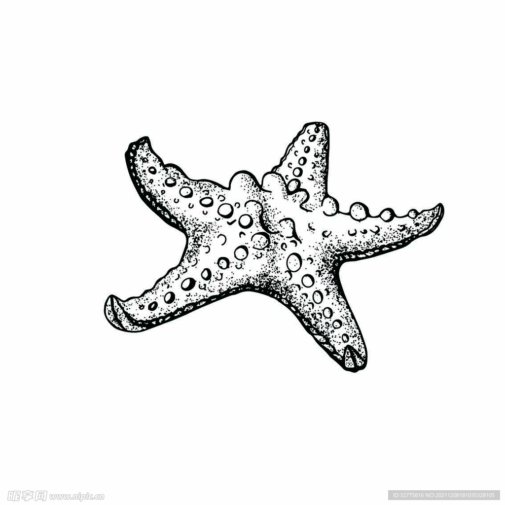 海星