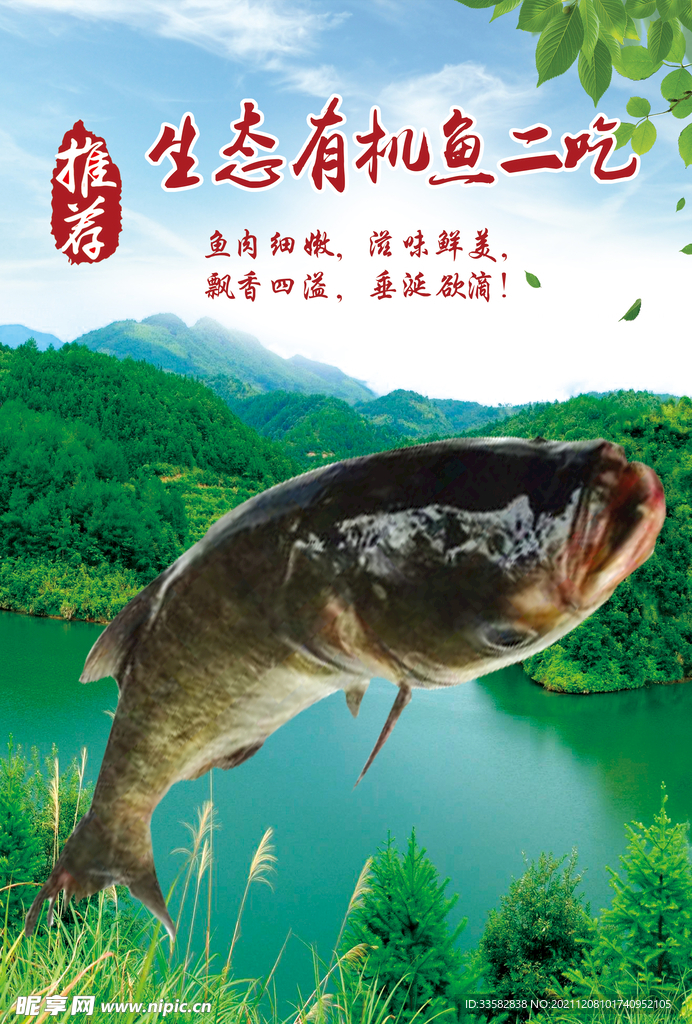 生态有机鱼展版海报