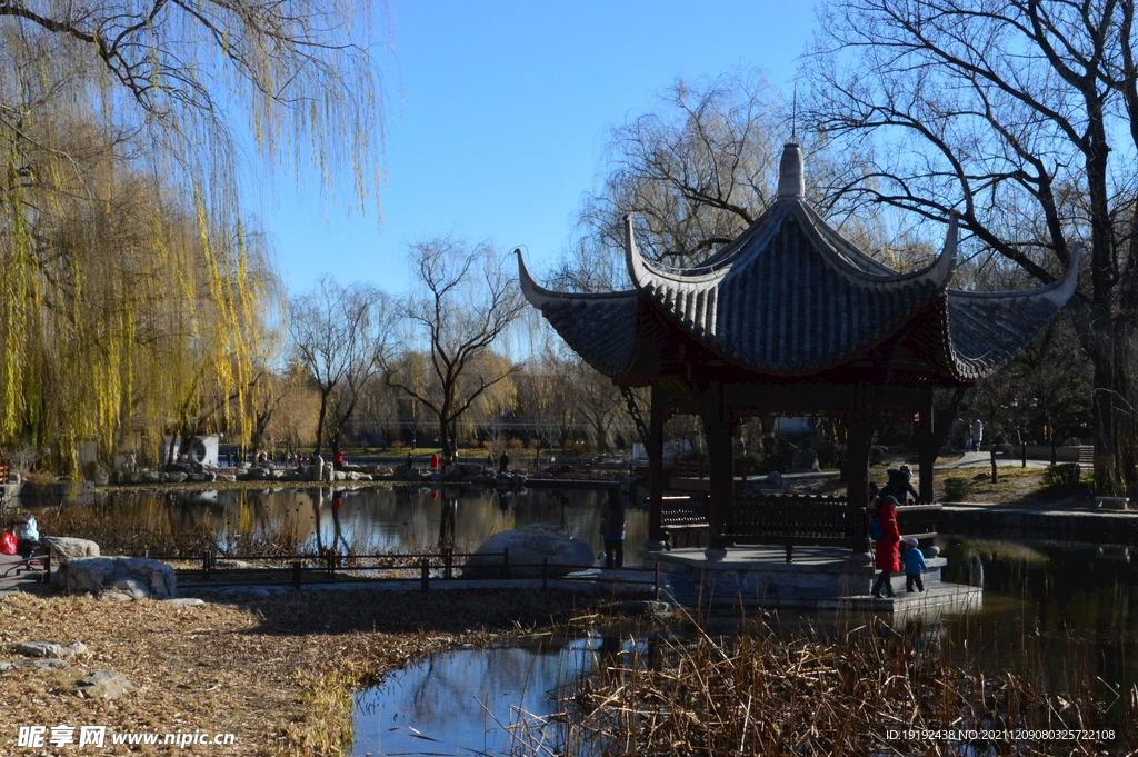 陶然亭风景