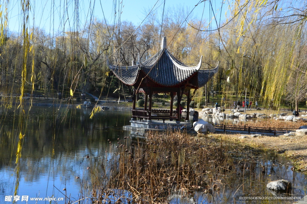 陶然亭风景