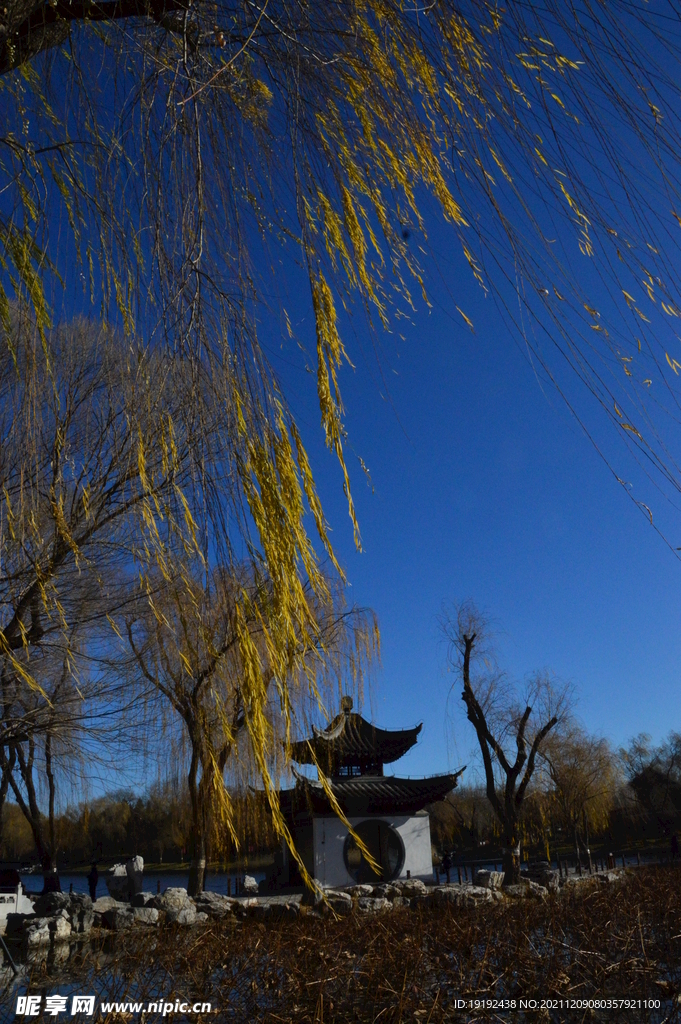 陶然亭风景