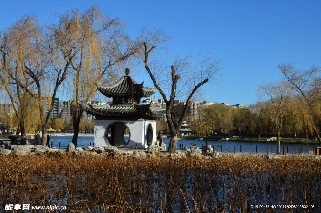 陶然亭风景 