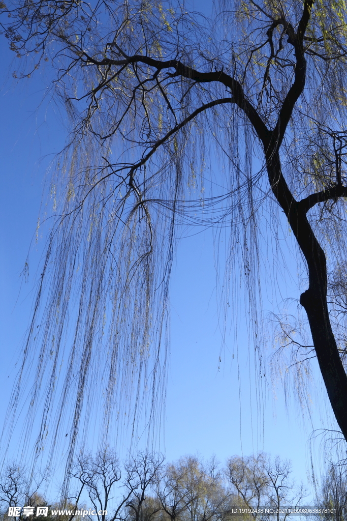 陶然亭风景