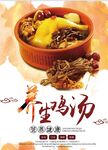 养生鸡汤