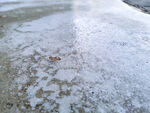 雪