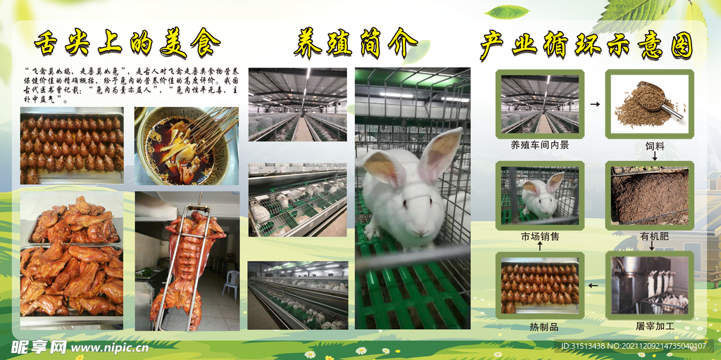 兔子折页
