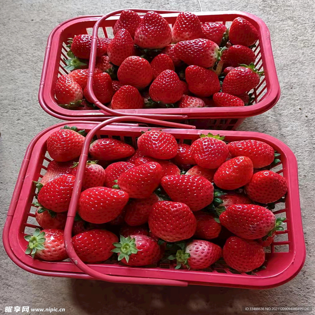 草莓