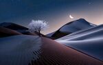 场景画面图